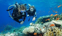 Các địa điểm không thể bỏ lỡ khi đi du lịch Nha Trang